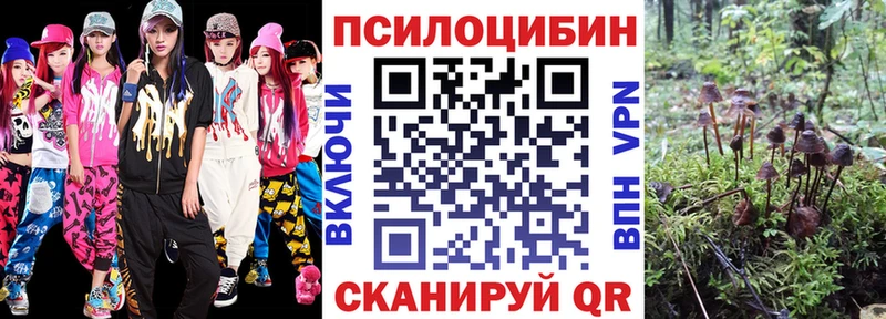 МЕГА ссылки Мглин Галлюциногенные грибы Cubensis