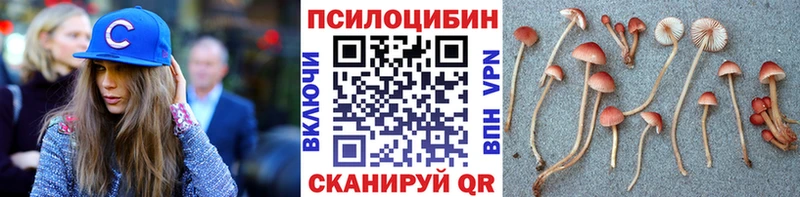 Псилоцибиновые грибы мицелий Мглин
